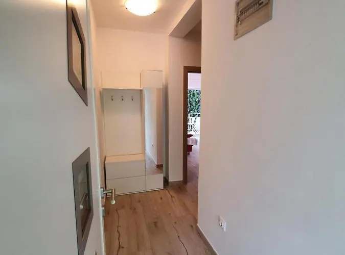 Zic Apartament *