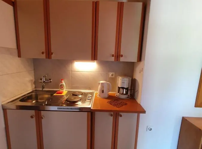 Apartament Zic