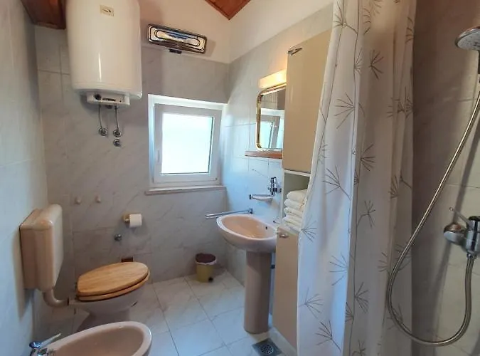 Apartament Zic *