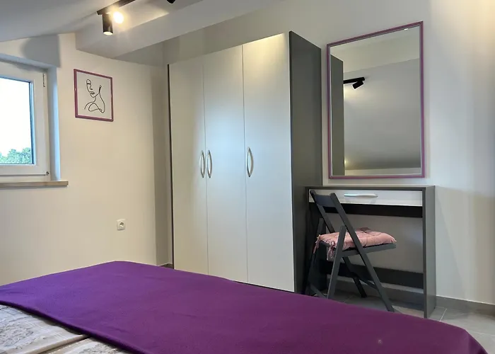 Apartament Zic *