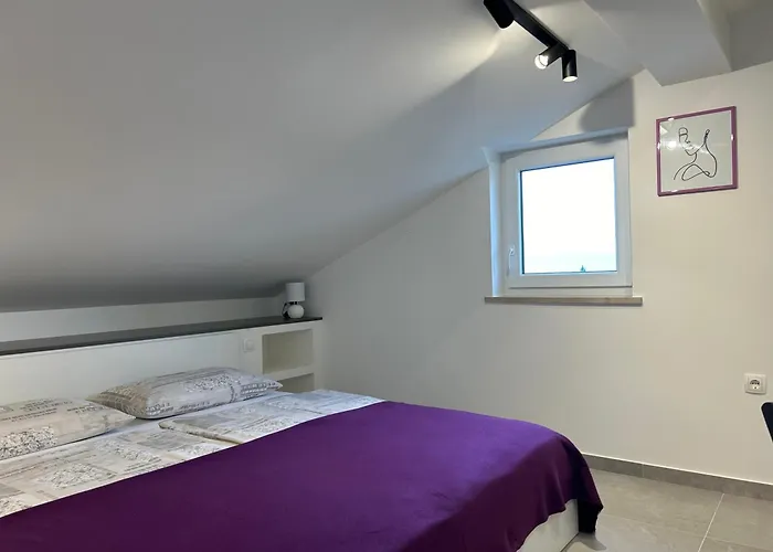 Apartament Zic