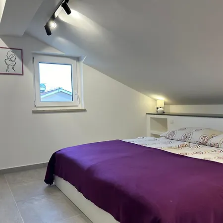 Zic Apartmán *